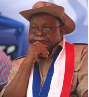 Mike Oquaye wins primaries